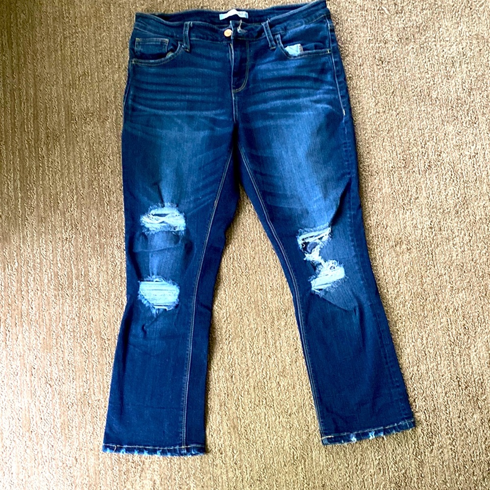 Barely worn, holy Daytrip Cropped jeans
